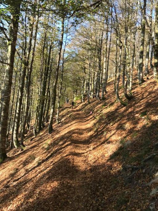 La Magie Entre Deux Lacs Villa Gérardmer Esterno foto