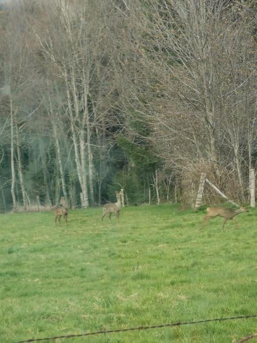 La Magie Entre Deux Lacs Villa Gérardmer Esterno foto