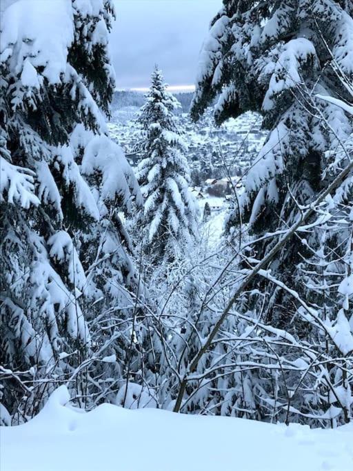 La Magie Entre Deux Lacs Villa Gérardmer Esterno foto